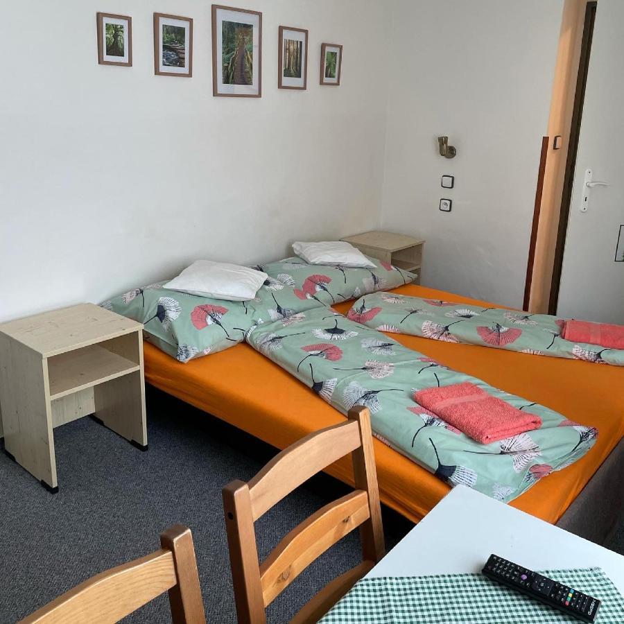 Penzion Slunecnice Dvůr Králové nad Labem Bagian luar foto