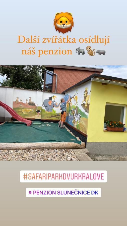 Penzion Slunecnice Dvůr Králové nad Labem Bagian luar foto