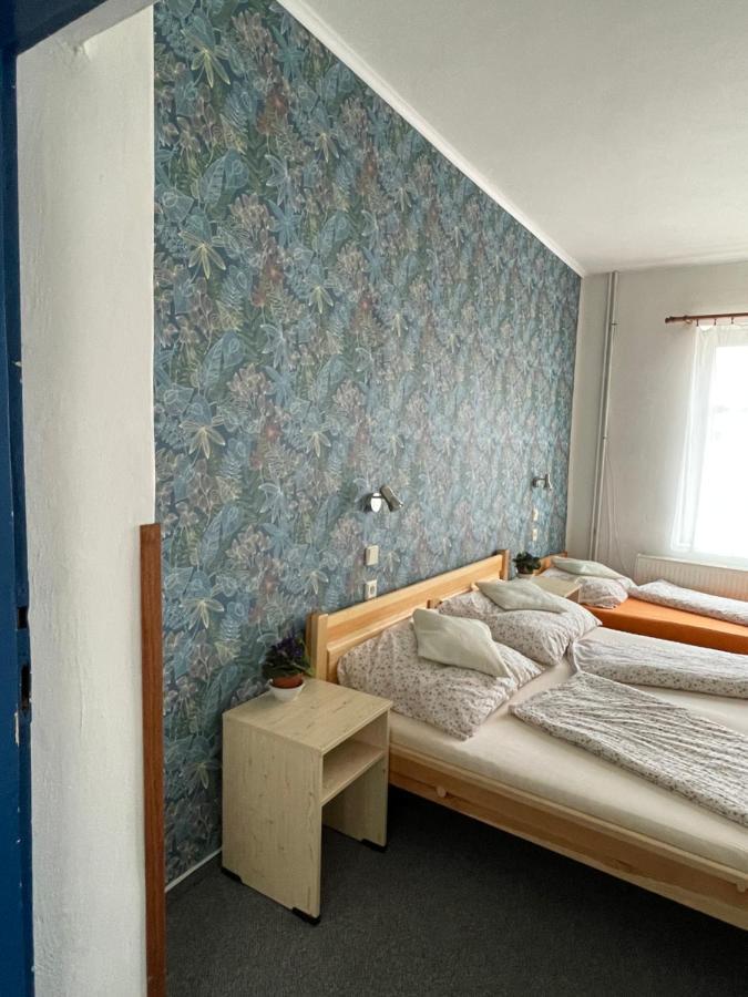 Penzion Slunecnice Dvůr Králové nad Labem Bagian luar foto