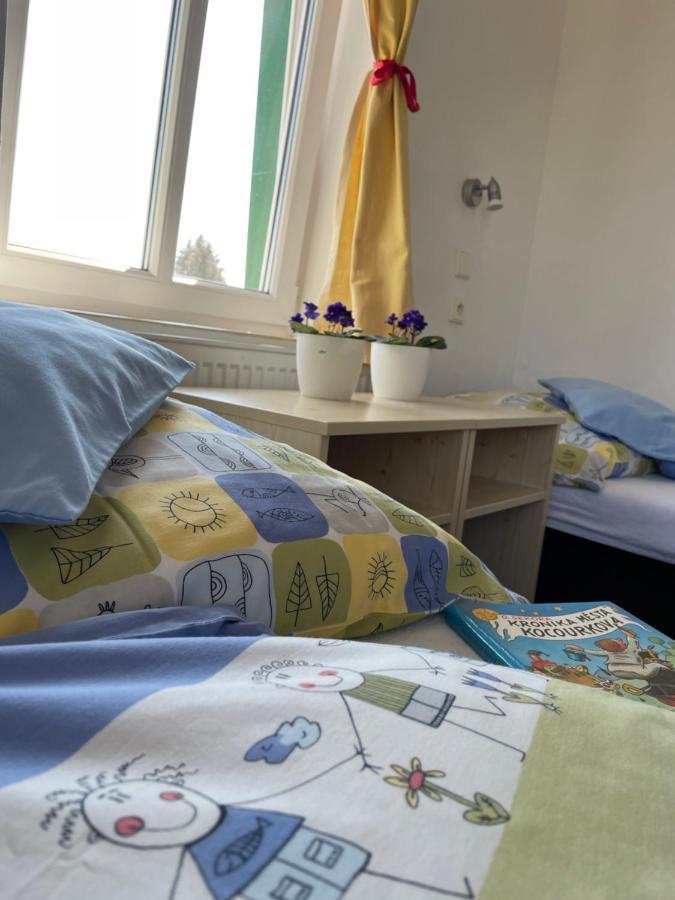 Penzion Slunecnice Dvůr Králové nad Labem Bagian luar foto